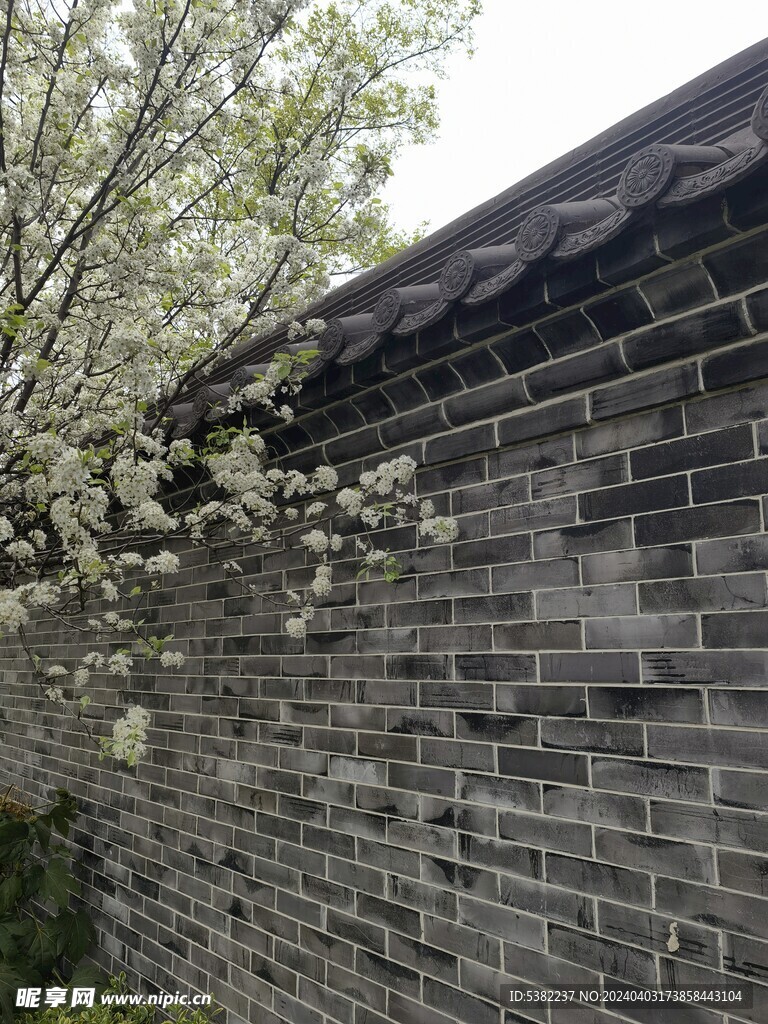 郑州园博园春天花红柳绿