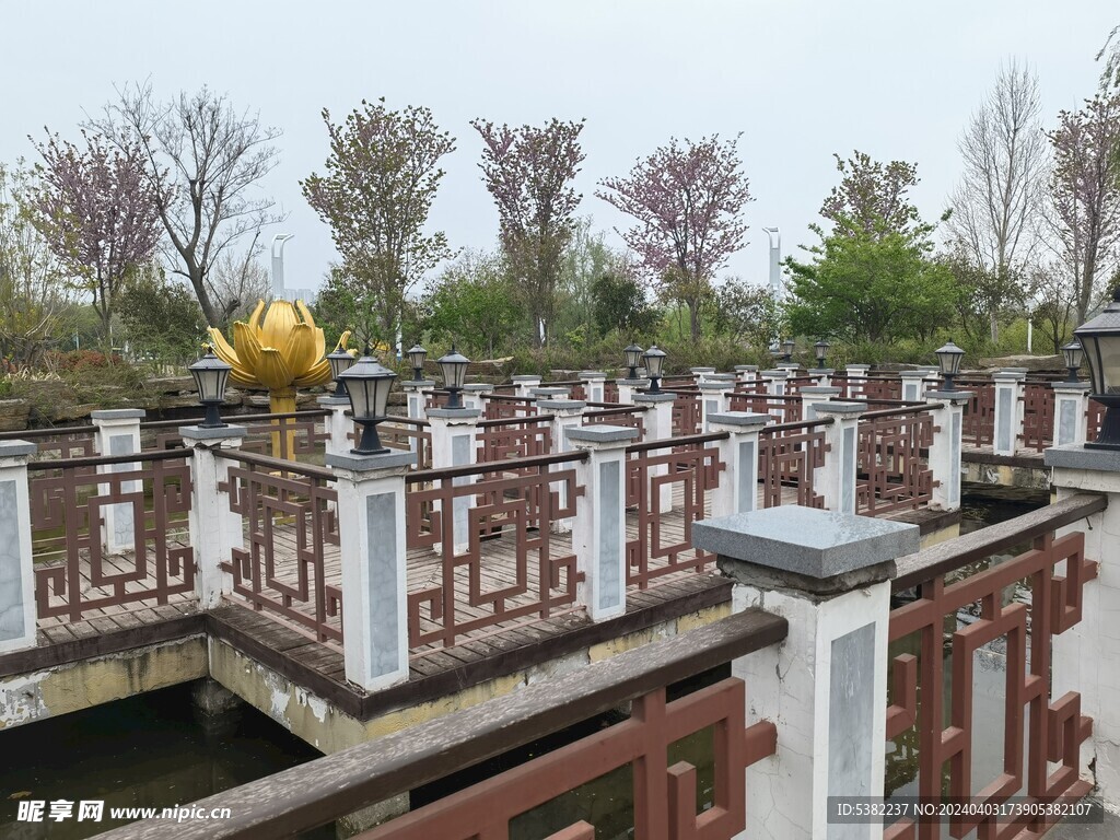 郑州园博园春天