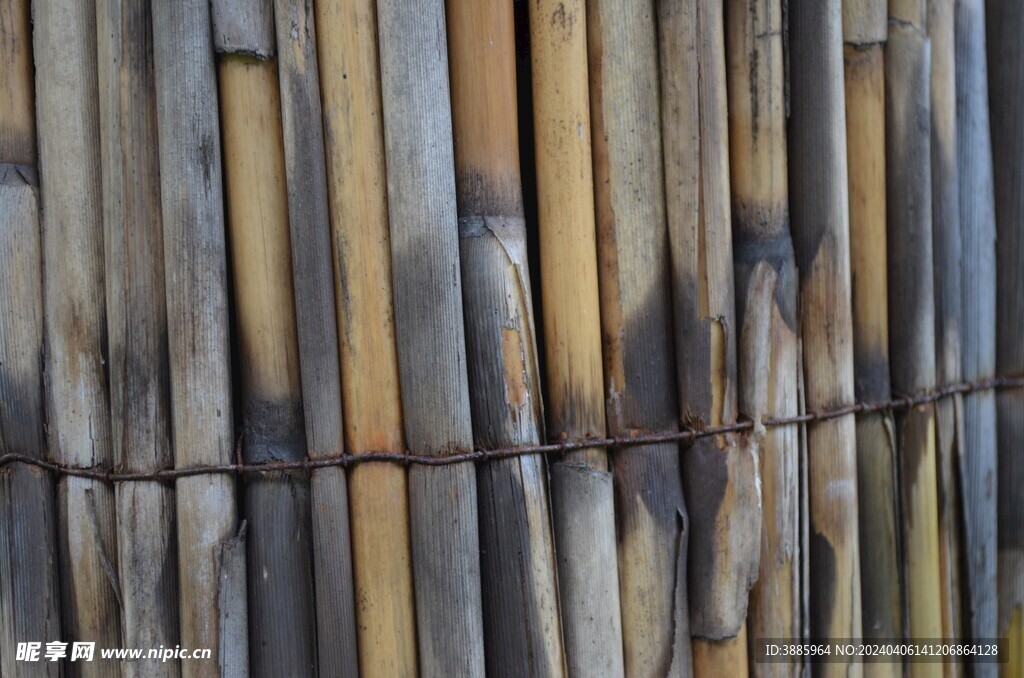 户外竹林竹子图片