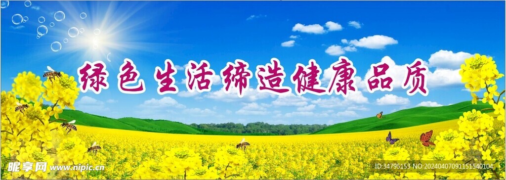 蓝天白云油菜花