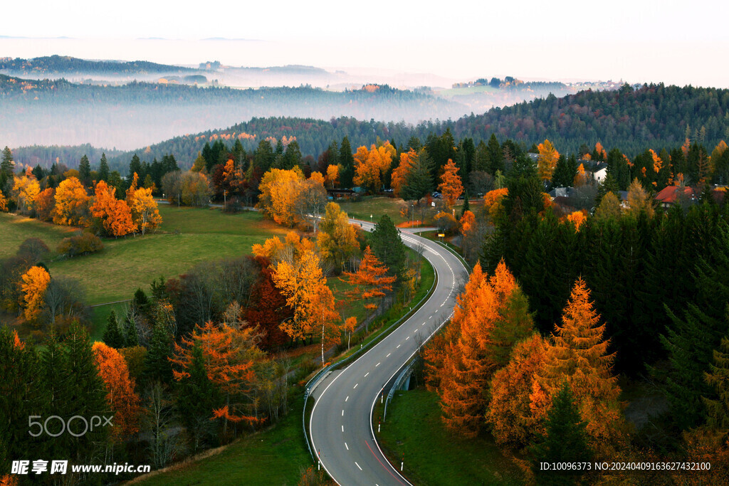 森林风景背景图片
