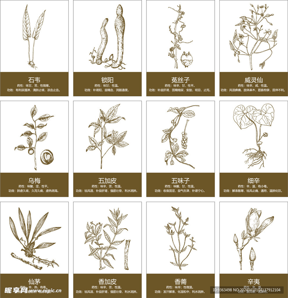 古代版画矢量图案线稿中药材