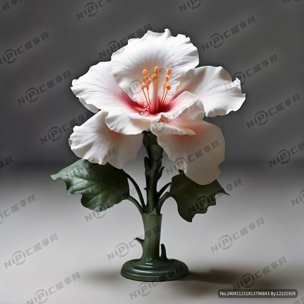 用芙蓉花生成几标志