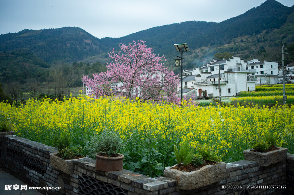 婺源虹关村图片