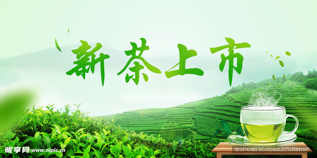 新茶上市