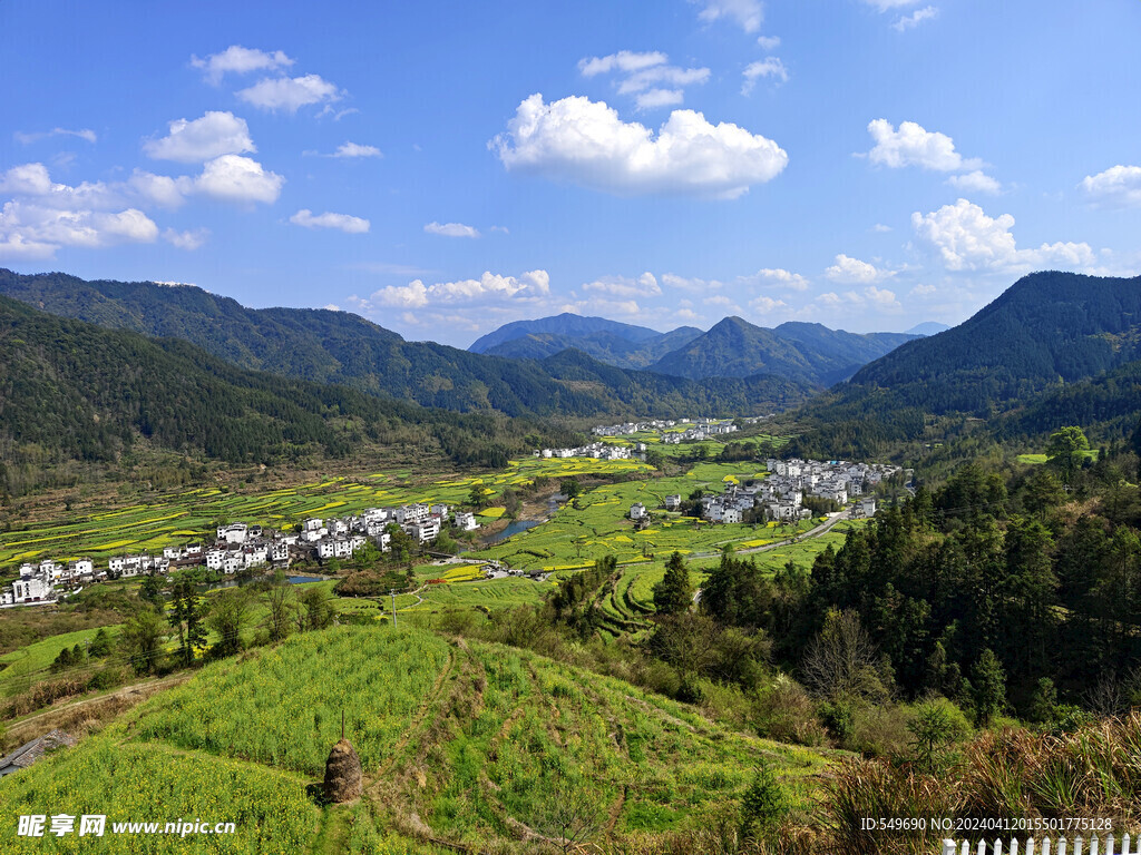婺源江岭图片