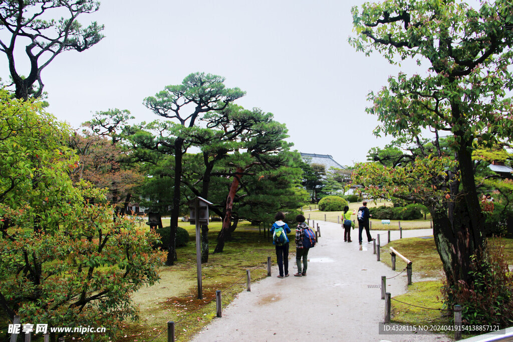 京都二条城园林风景