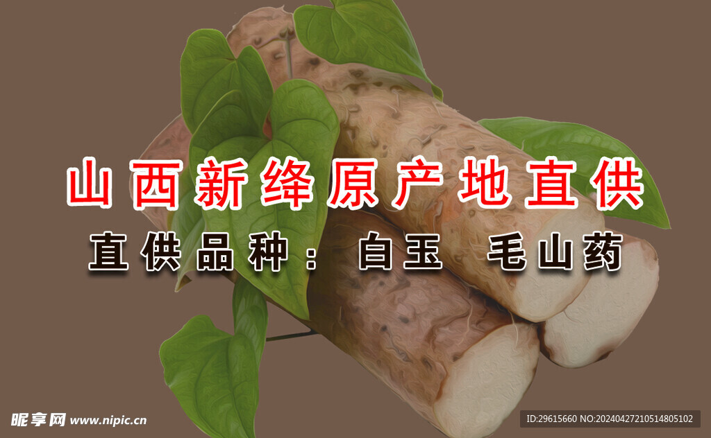 山药名片毛山药