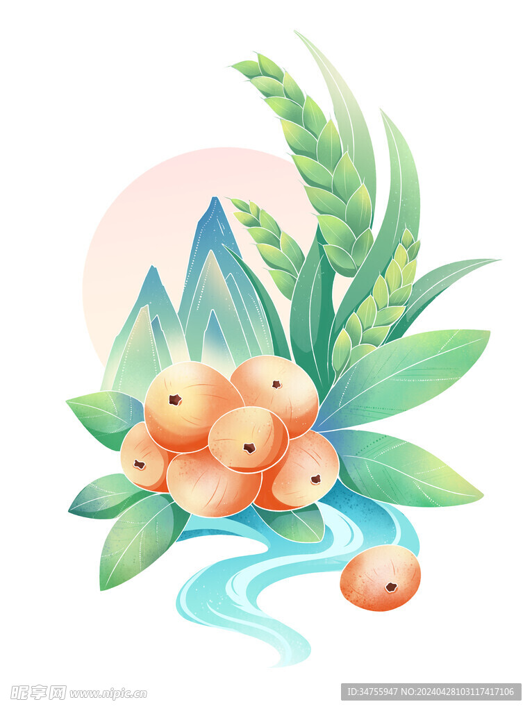 手绘小满枇杷麦穗组合元素