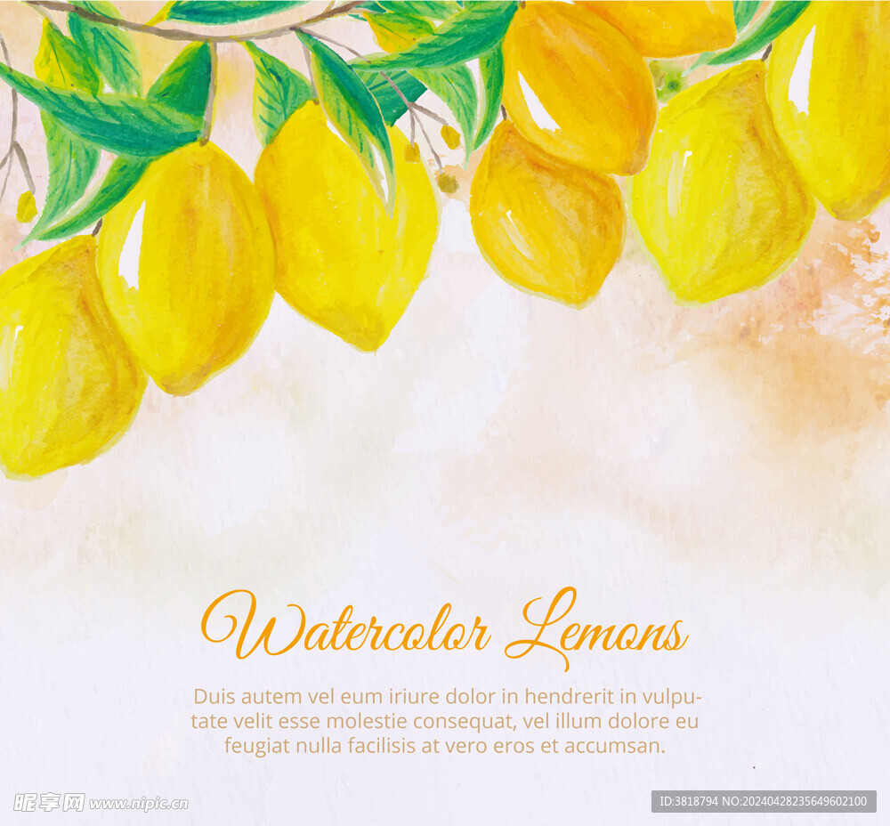 手绘水彩柠檬