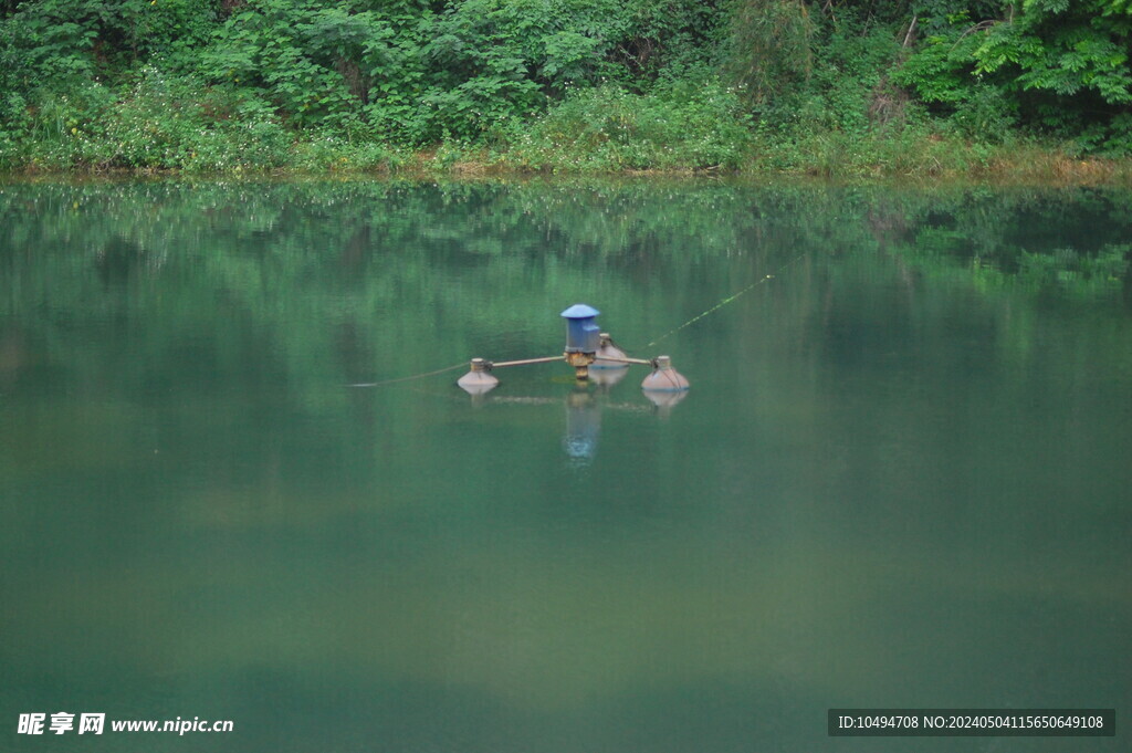 清澈水塘
