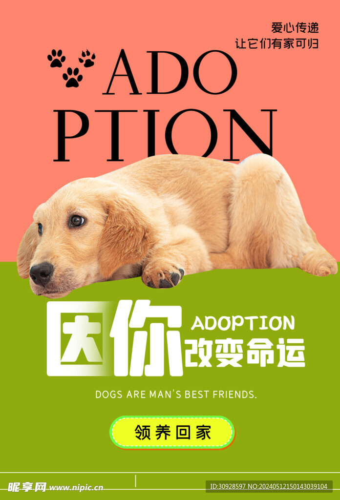 宠物海报