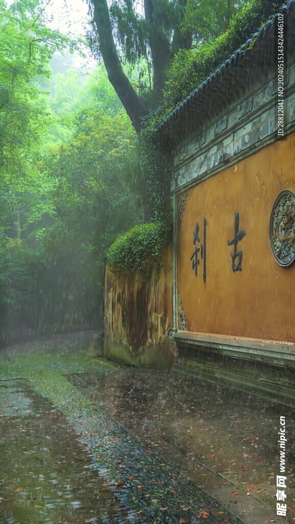 高清唯美风景拍摄竖屏素材