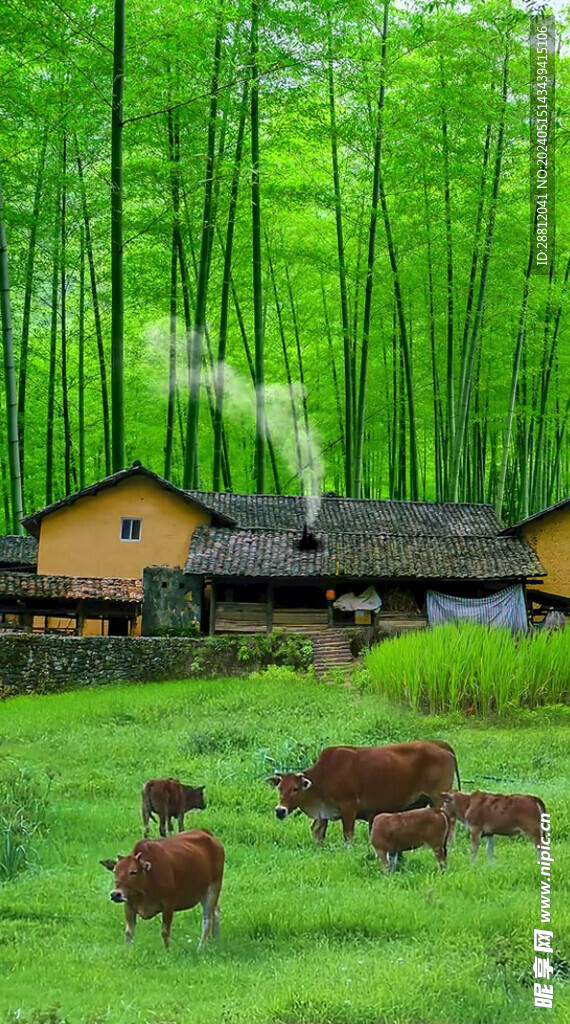 高清唯美风景拍摄竖屏素材