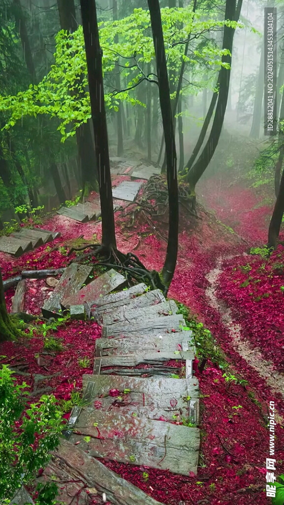 高清唯美风景拍摄竖屏素材