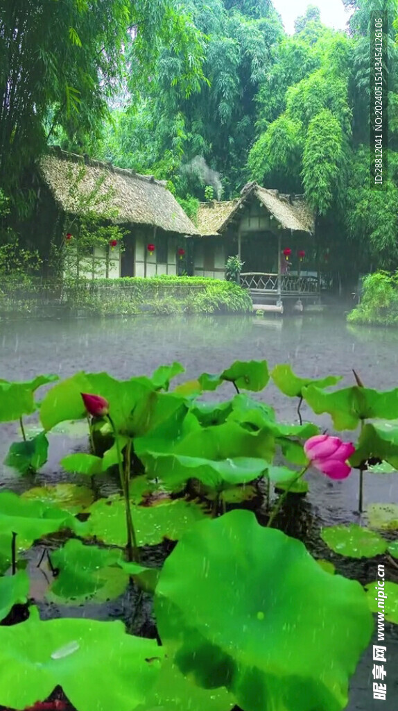 高清唯美风景拍摄竖屏素材