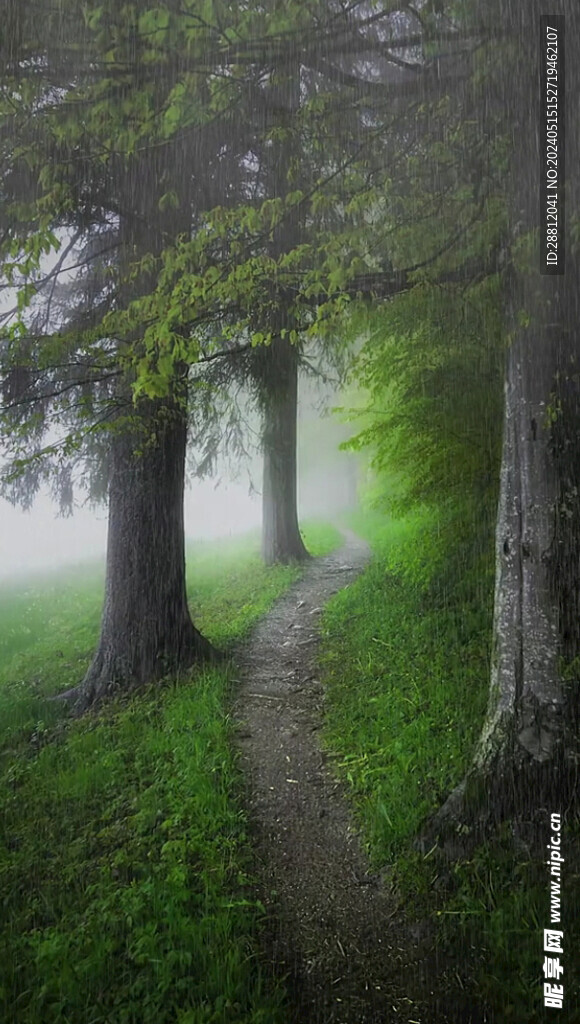 高清唯美风景拍摄竖屏素材