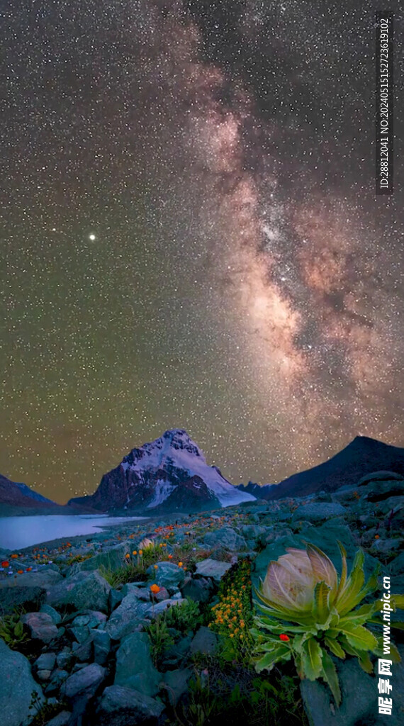 高清唯美风景拍摄竖屏素材