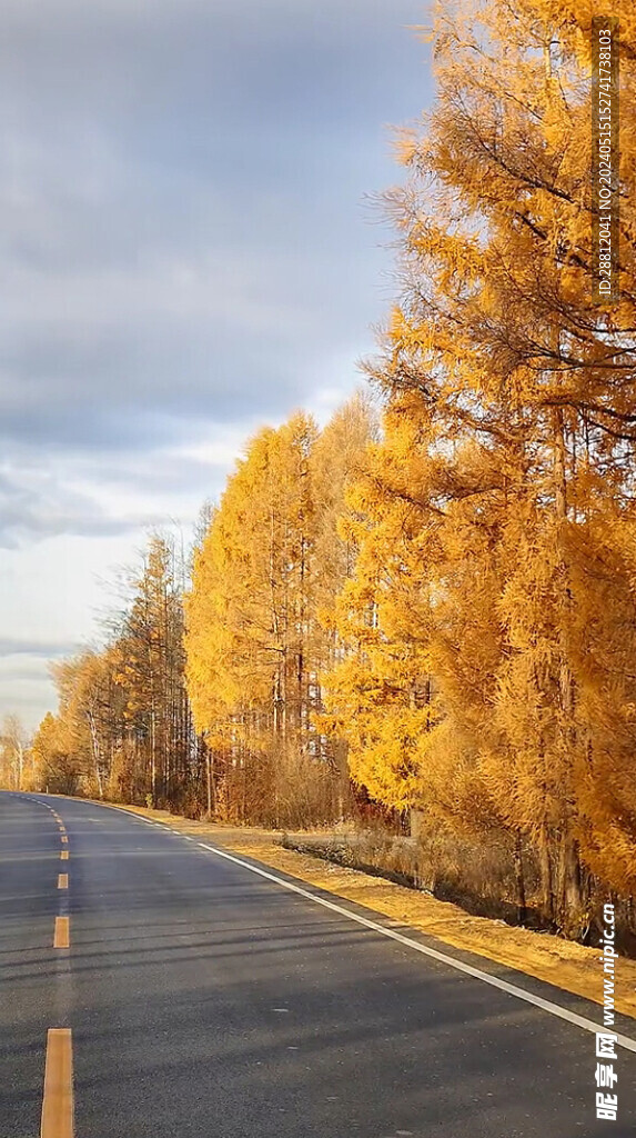 高清唯美风景拍摄竖屏素材