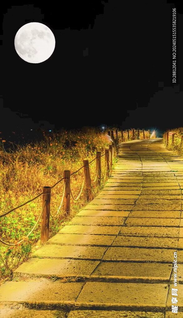 高清唯美风景拍摄竖屏素材