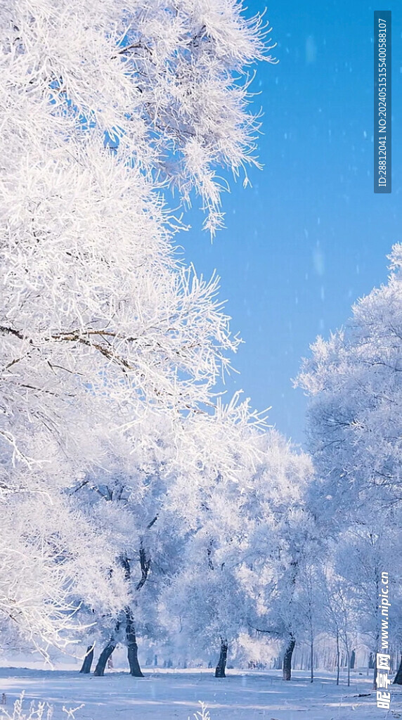 高清唯美风景拍摄竖屏素材