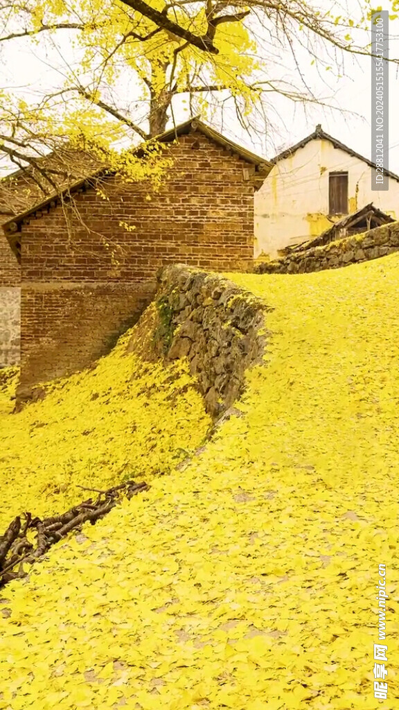 高清唯美风景拍摄竖屏素材