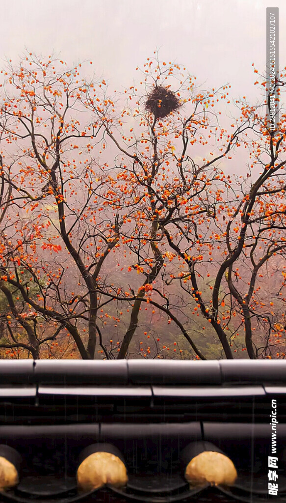 高清唯美风景拍摄竖屏素材