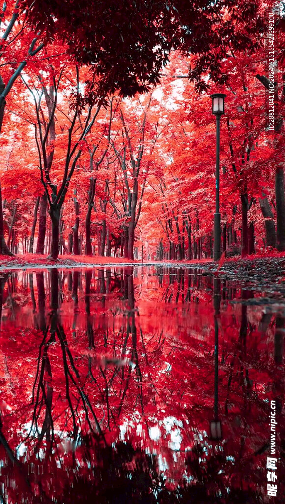 高清唯美风景拍摄竖屏素材