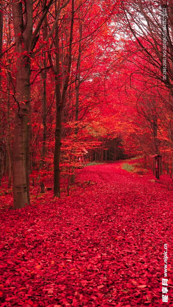高清唯美风景拍摄竖屏素材