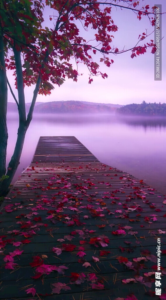 高清唯美风景拍摄竖屏素材