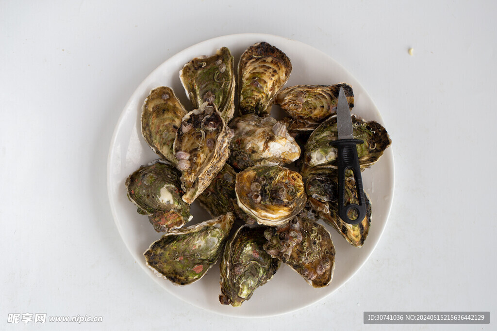 湛江生蚝 