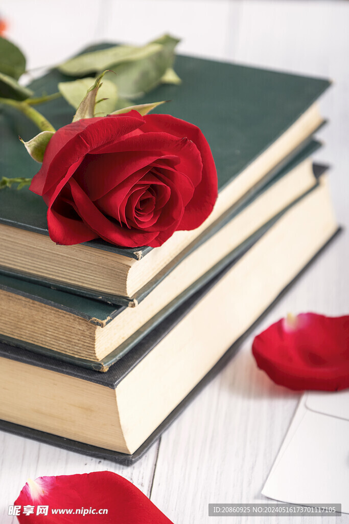 书本上的玫瑰花图片