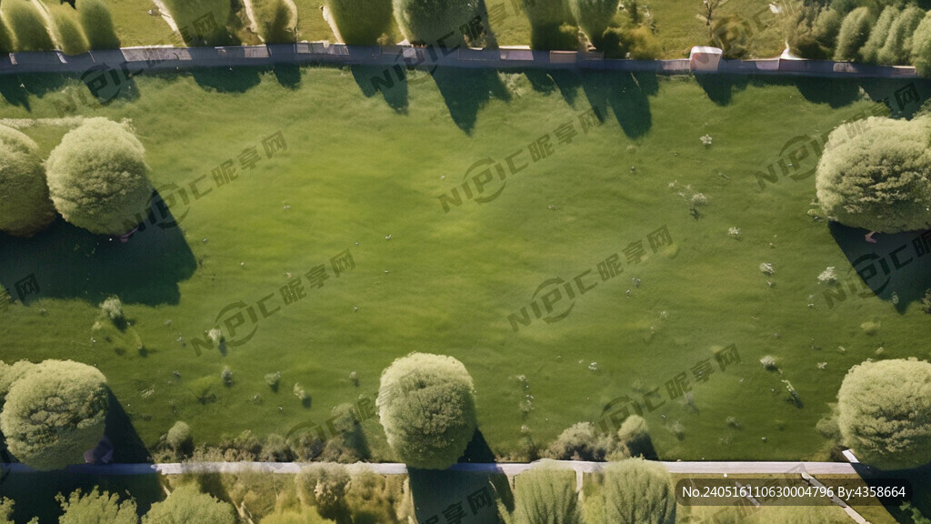 俯视 草地 绿色 无缝拼接