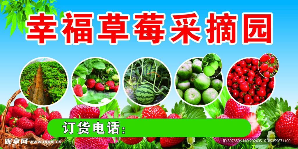 草莓园  生态园