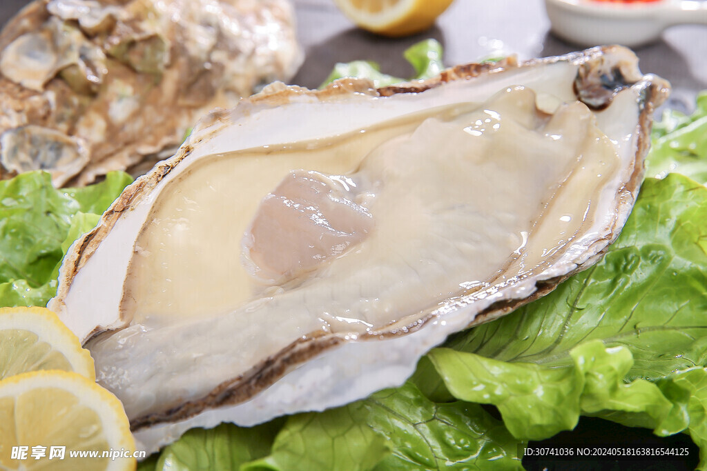   特大生蚝 烤生蚝