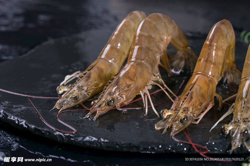  河鲜 基围虾大虾