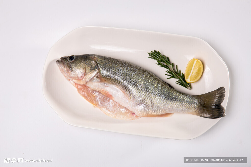 三去鲈鱼白底图