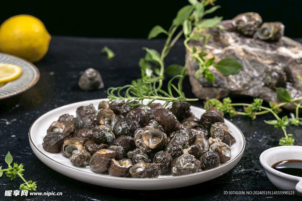  沙坑螺 螺丝 清水