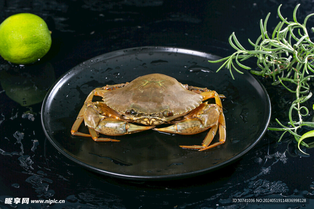  肉蟹 鲜美 河鲜