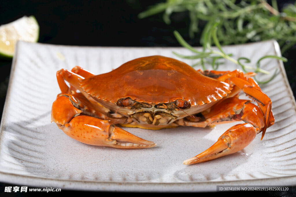 黄油蟹 膏蟹 