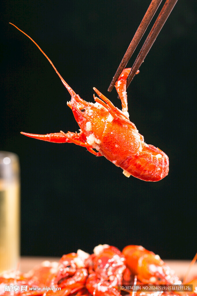 一只蒜蓉小龙虾