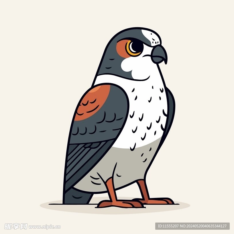 有趣游隼小鸟卡通儿童插画