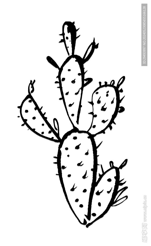 手绘仙人掌