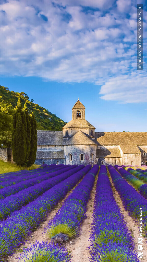 薰衣草故乡普罗旺斯