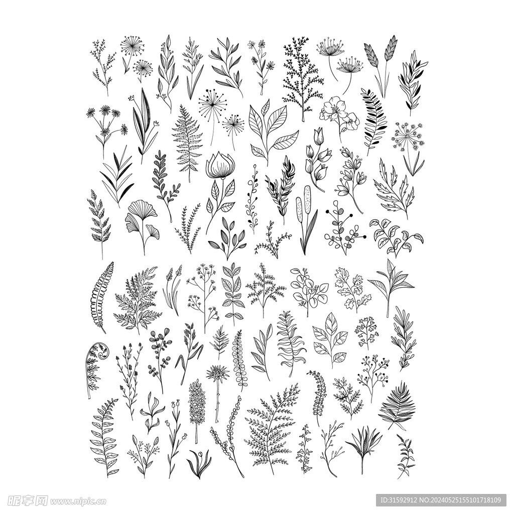 矢量线条花草素材