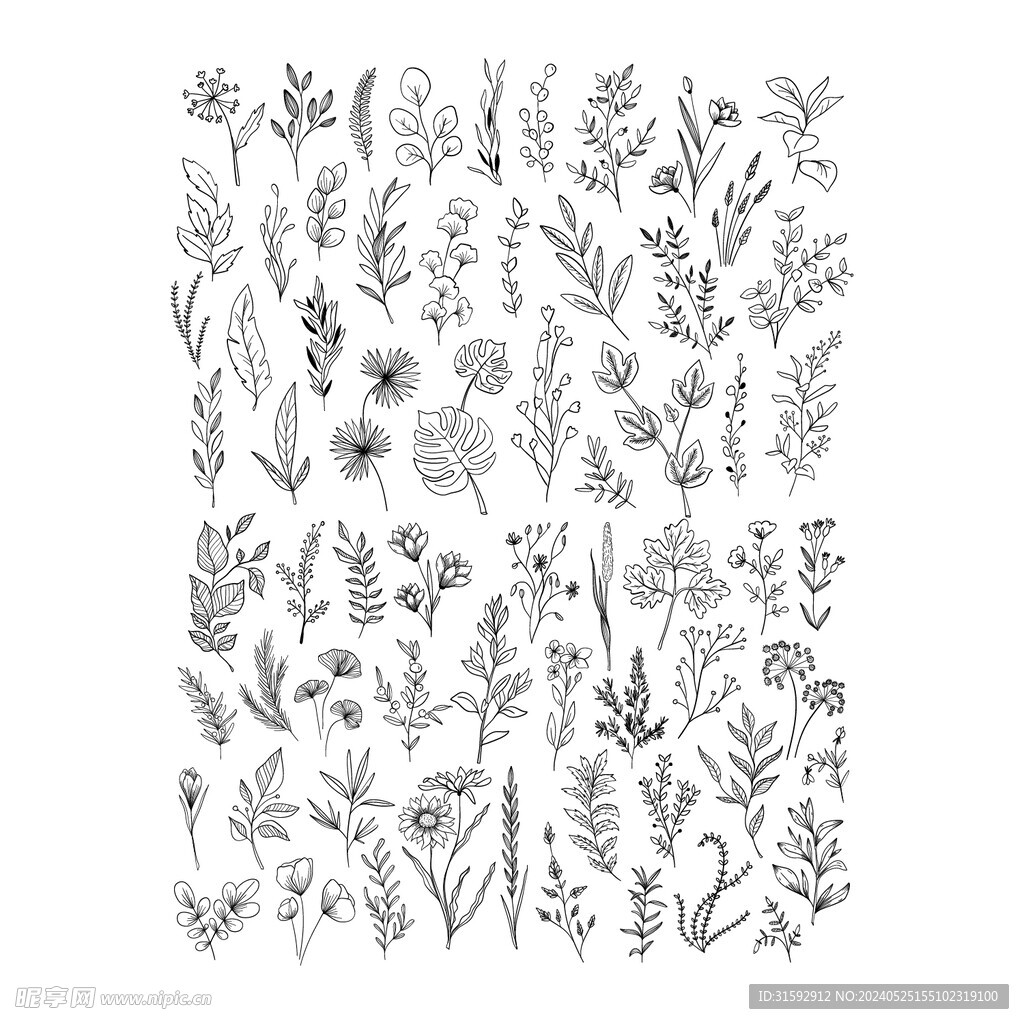 矢量线条花草素材