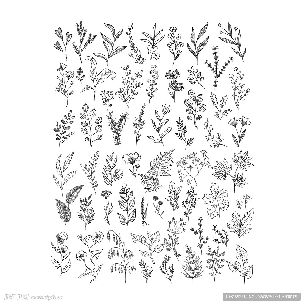 矢量线条花草素材