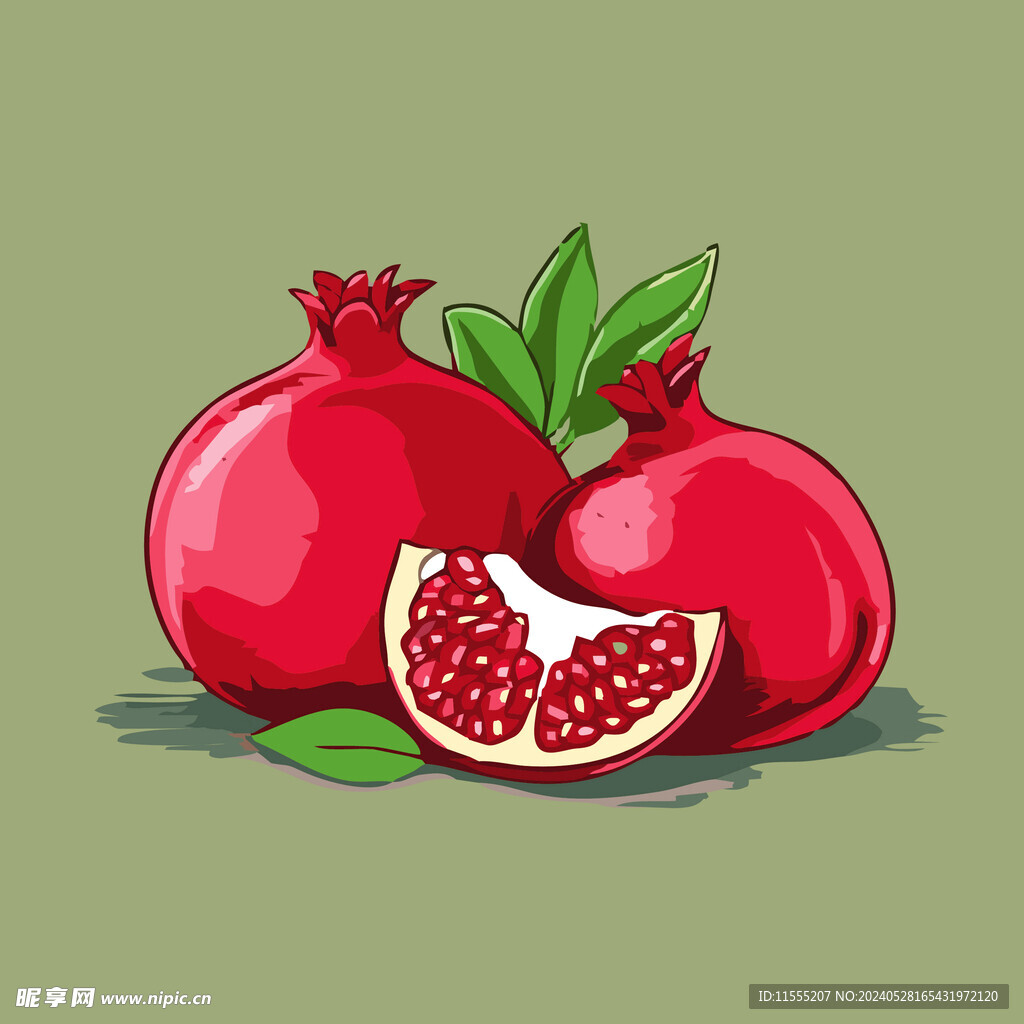 石榴水果手绘矢量插画