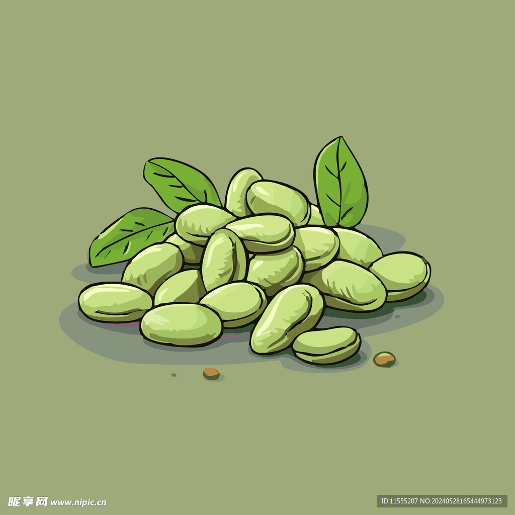 蚕豆蔬菜手绘矢量插画