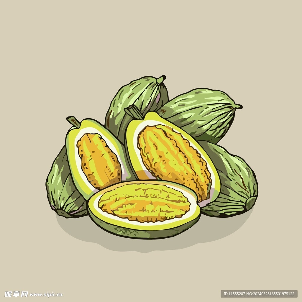 菠萝蜜热带水果手绘矢量插画